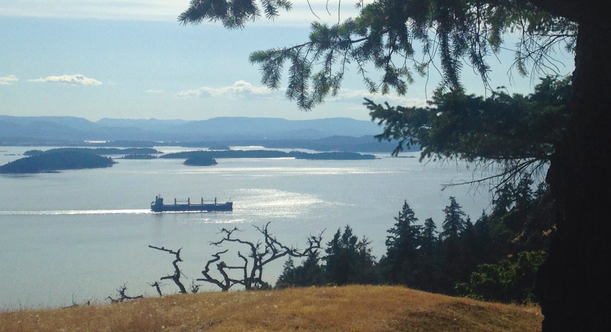 Photo by Doug McCutchen June 2014