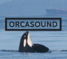 OP OrcaSound Logo
