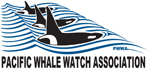 OP Pac Whale Watch Logo