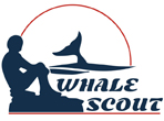 OP Whale Scout Logo