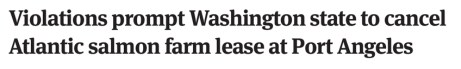 Salmon Pen Lease Denial
