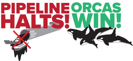 SJIFSS_Email_OrcasWin_Aug2018