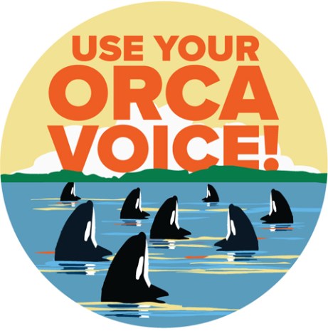 SJIFSS Use Orca Voice Oct 2018